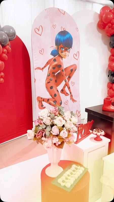 Decoração Ladybug