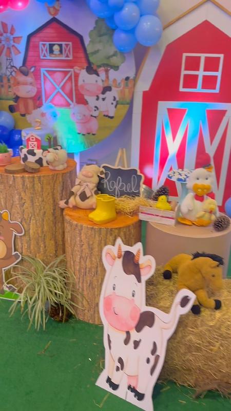Decoração Fazendinha